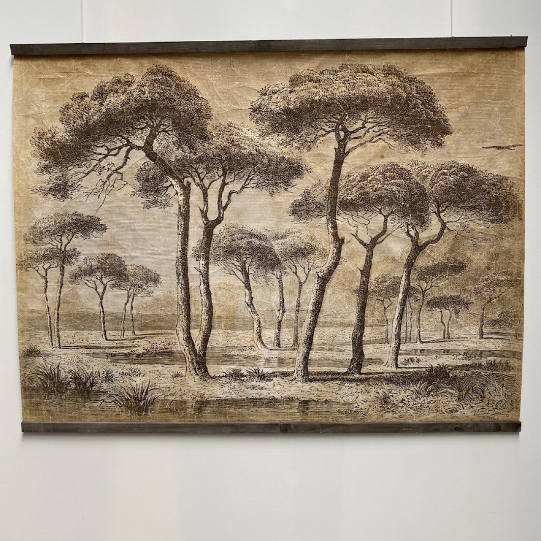 Tenture PINEDE BORD DE MER [ALFONZ] 200x150 cm