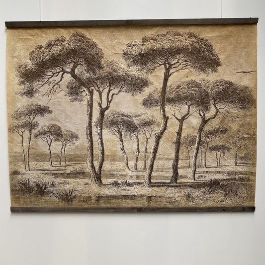 Tenture PINEDE BORD DE MER [ALFONZ] 200x150 cm