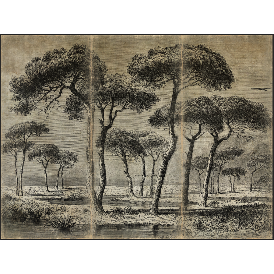 Tenture TRIPTYQUE PINEDE BORD DE MER [ALFONZ] 330x250 cm