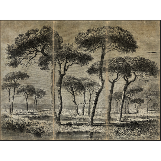 Tenture TRIPTYQUE PINEDE BORD DE MER [ALFONZ] 330x250 cm