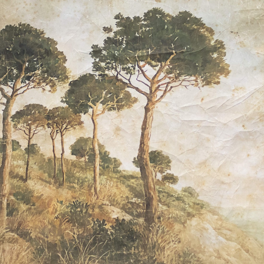 Tenture GARRIGUE [ALFONZ] 120 x 120 cm