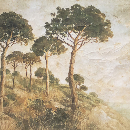 Tenture GARRIGUE [ALFONZ] 120 x 120 cm