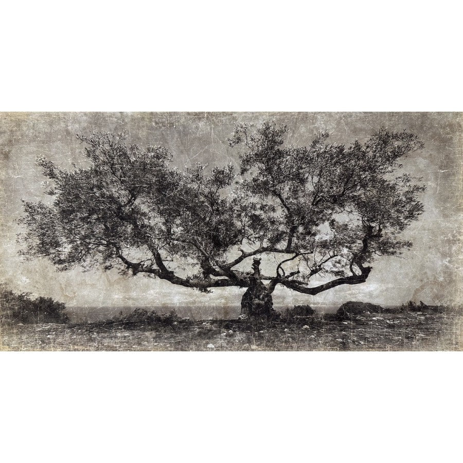 Tenture PAROS [ALFONZ] 200x105 cm