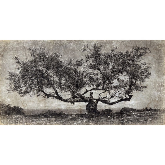 Tenture PAROS [ALFONZ] 200x105 cm